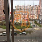 сетка антикошка